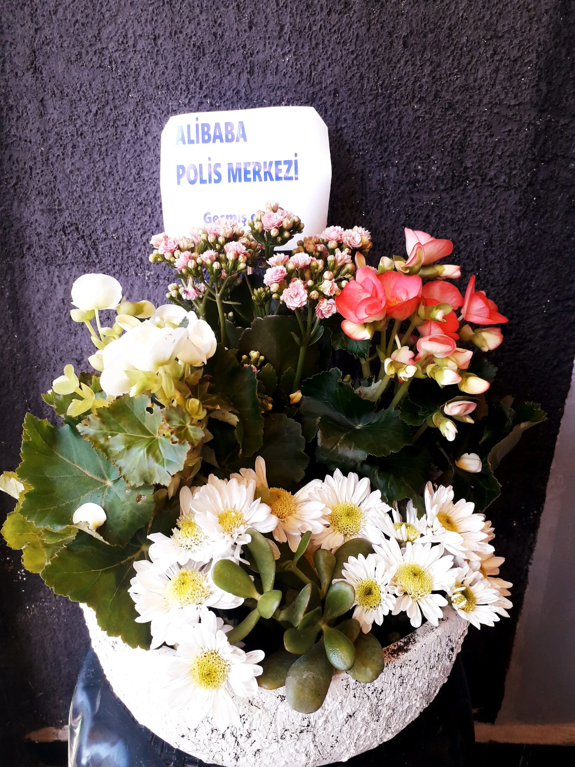 SivasÇİÇEKTASARIM - Görsel 2