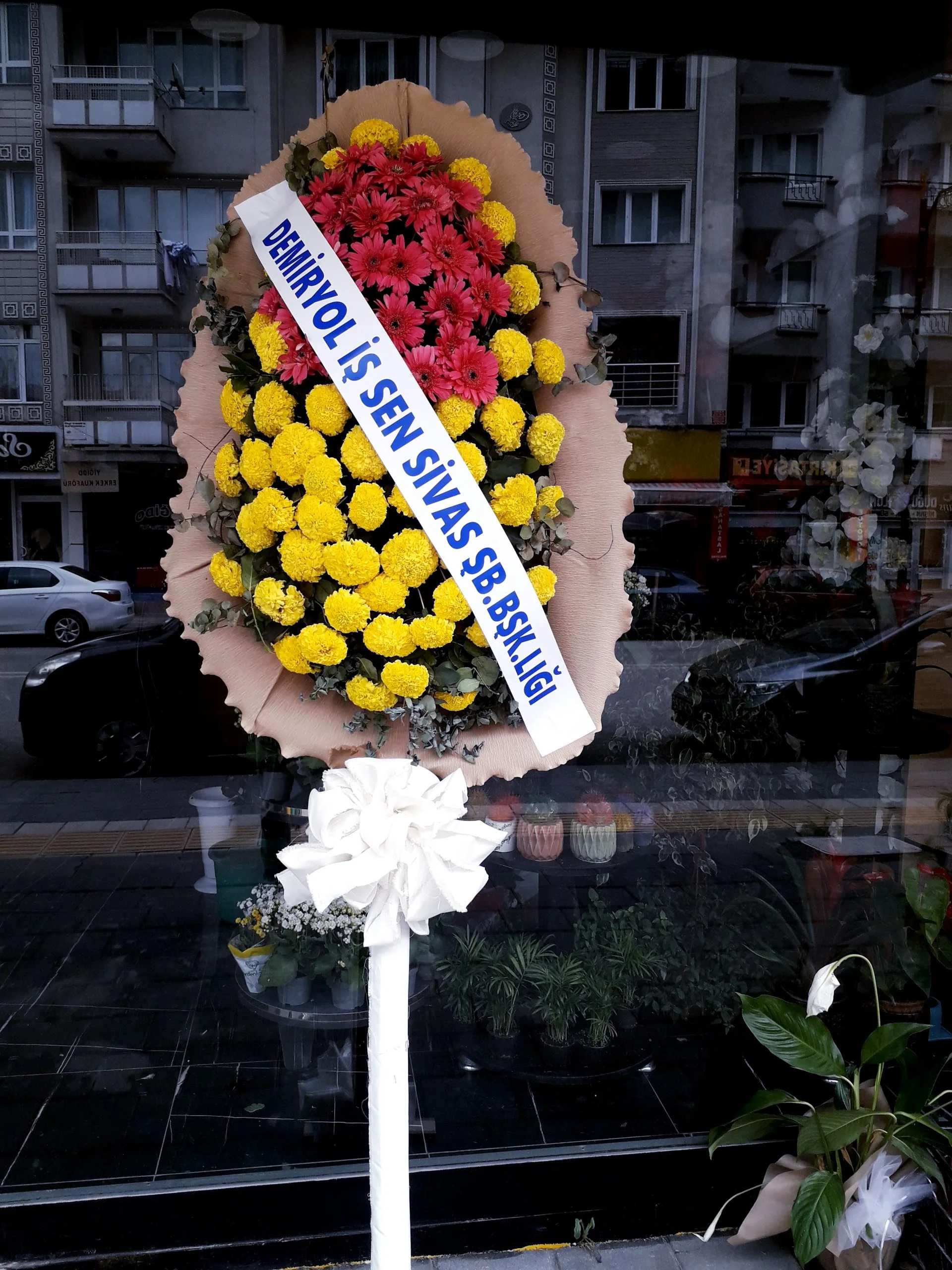 sivasçelenkçiçek