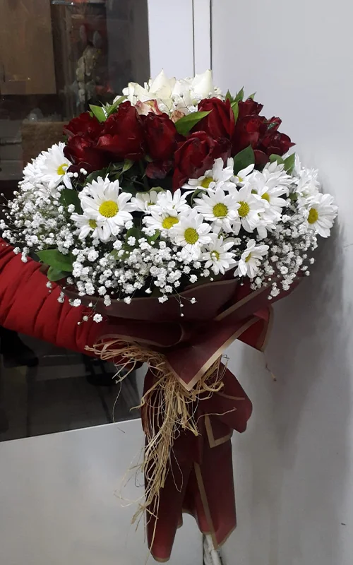 40 Gül Papatyalı