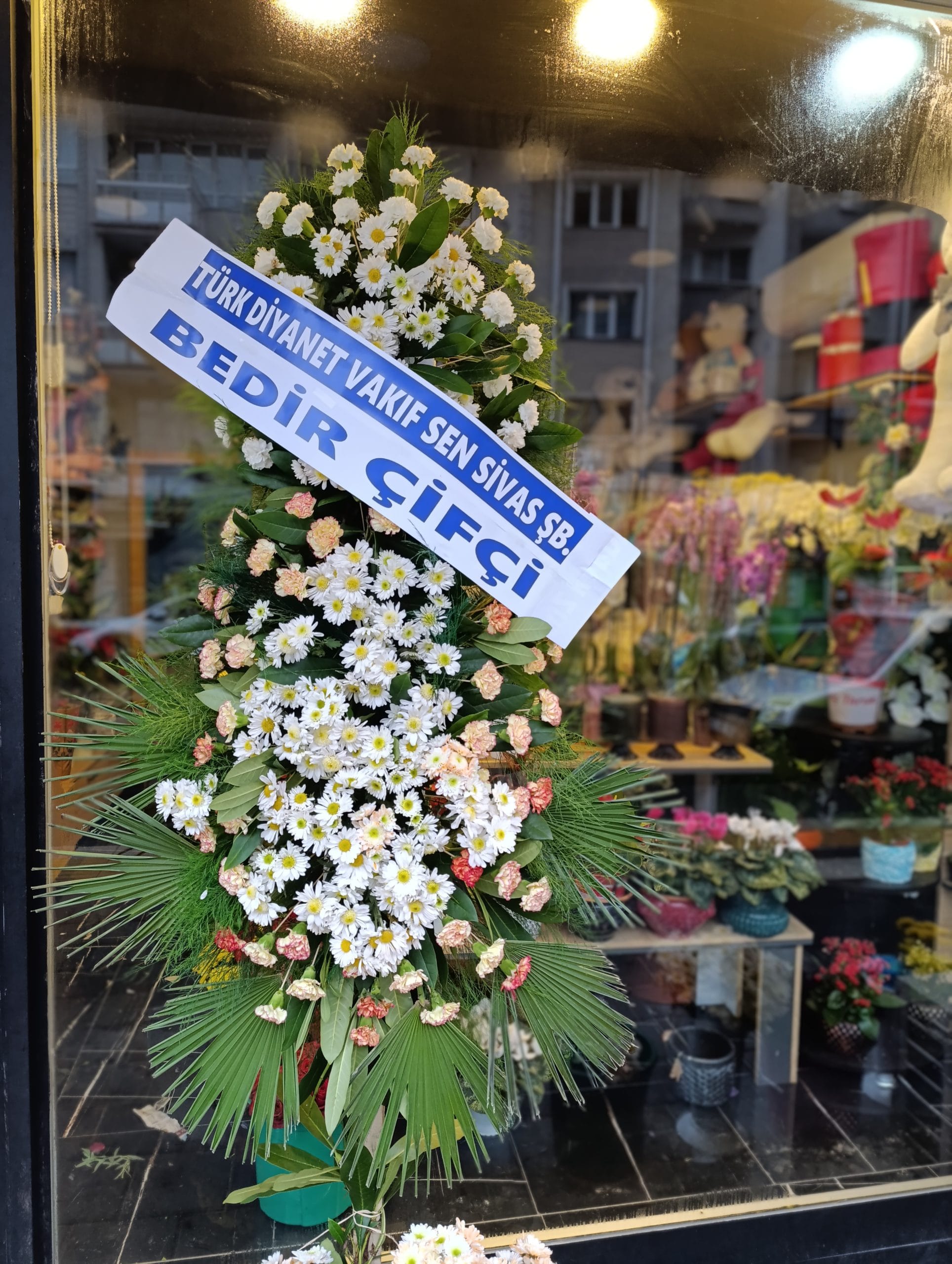 sivasçelenkçiçek - Görsel 2